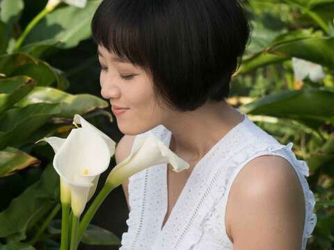 春天的台北繁花似錦，賞花打卡趁花季