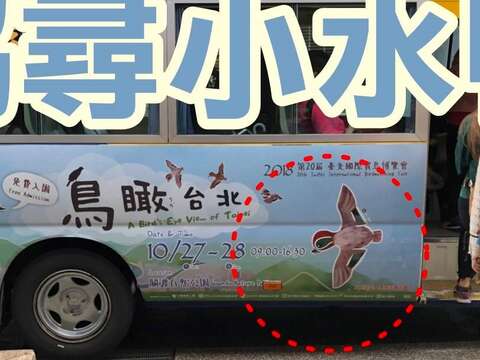 協尋小水鴨臉書打卡活動，您找到小水鴨了嗎
