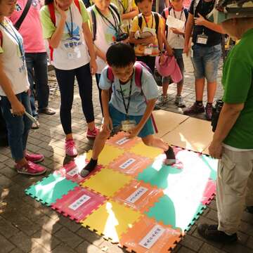 富有教育意義又充滿趣味性的主題活動
