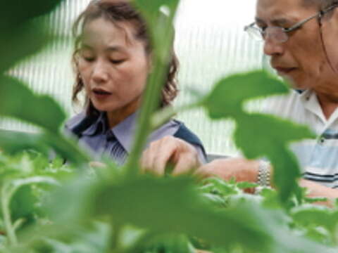 謝忠義(右)與督導陳秋鵬(左)為每棵大立菊都做了詳細的生長履歷。(攝影/許斌)