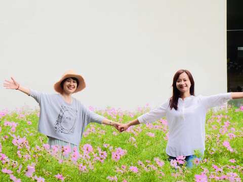 宇宙之花攻佔北美館 波斯菊花海夢幻登場