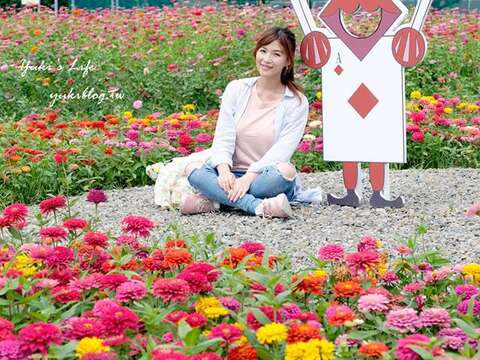 和花海合照可以抽大獎 圖為中正河濱花海