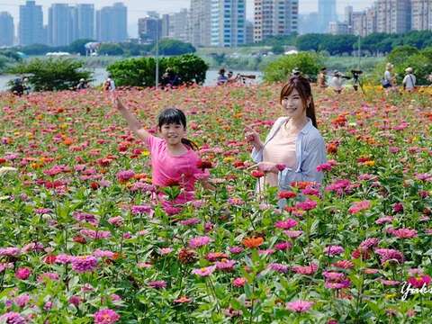 和花海合照可以參加抽獎 圖為中正河濱花海