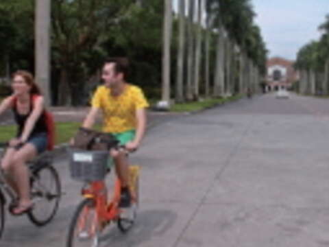 YouBike站點往南擴至臺大,椰林大道上也常見小小黃的身影。(攝影/王能佑)