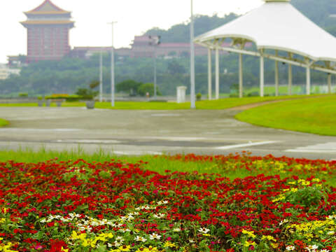 大佳河濱花海 可遠眺圓山飯店美景