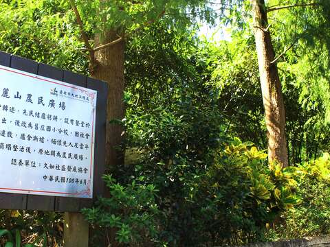 被金黃落羽松擁抱的秘境，南港九如社區