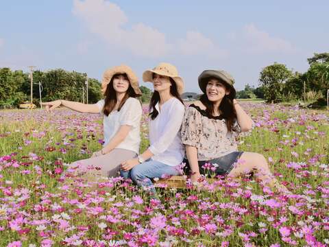 與閨蜜一同賞花去！（工務局拍攝）