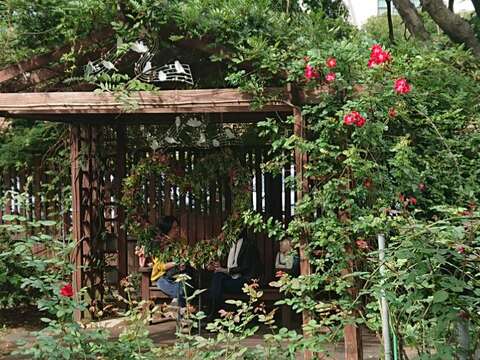 現代玫瑰園區的造型涼亭