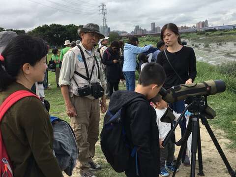 華江雁鴨公園免費生態導覽 候鳥等你一起來探秘！