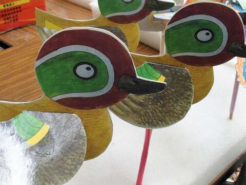 Free Eco-tour at Huanjiang Wild Duck Nature Park
