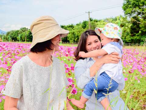 選後放輕鬆 關渡秘境賞花去!