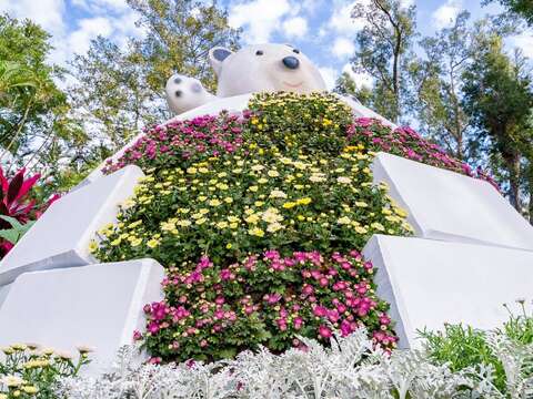 菊花與可愛的北極熊展現「極地風光」的特色 (攝至邱友文)