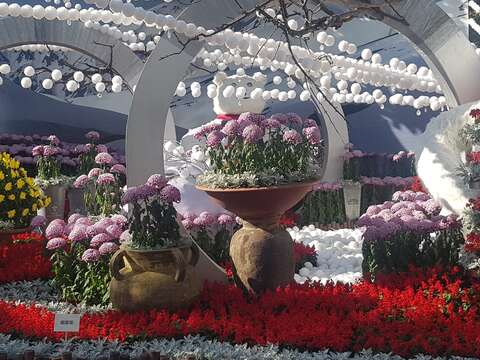 熊讚喬裝北極熊 市府松壽廣場戲雪菊