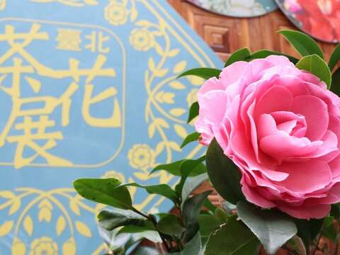 以花佐生活 花卉試驗中心春季園藝課開放報名