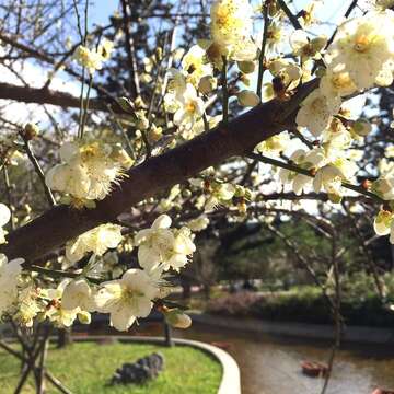 我們身邊的榮星花園與民生公園擁有如此優質的環境