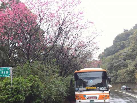 「大崙尾山站」是公車的終點，255和棕13公車都要在此迴轉下山