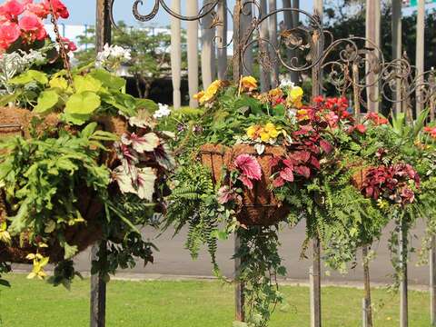 花博走春 新生公園賞花 今年一定發
