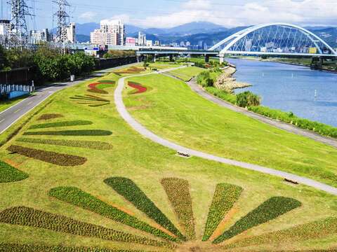 觀山河濱花海照片