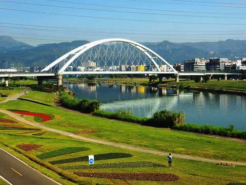 觀山河濱公園花海照片