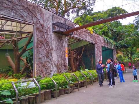 下次有機會造訪兒童動物園區，路過狐猴活動場時，記得擡起頭看看上方的廊道，或許剛好有狐猴經過唷！
