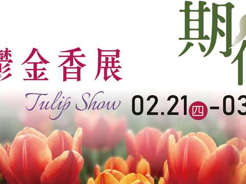 2019 El festival de los tulipanes en la antigua residencia oficial de CKS y Madam Chiang en Shilin