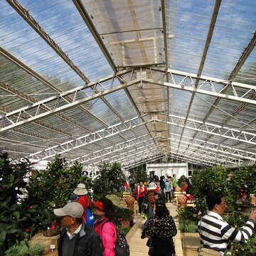 2014臺北茶花展