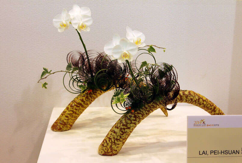 臺北花博公園-國際花卉園藝系列展