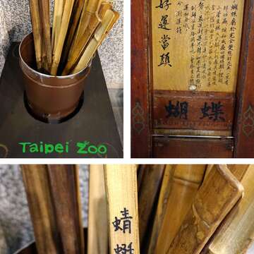 昆蟲占卜，求籤及解籤都採自助式