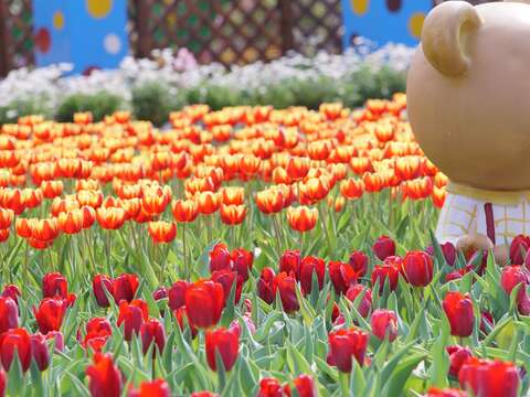 Mayor: Check Out theTulip Show at Shilin Residence