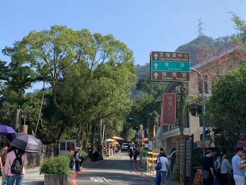 貓空休閒農業區 喝茶賞景享慢活樂趣