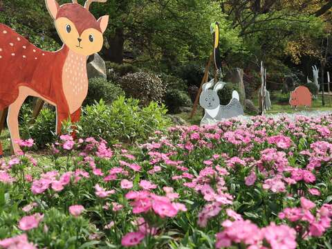 石竹與動物們