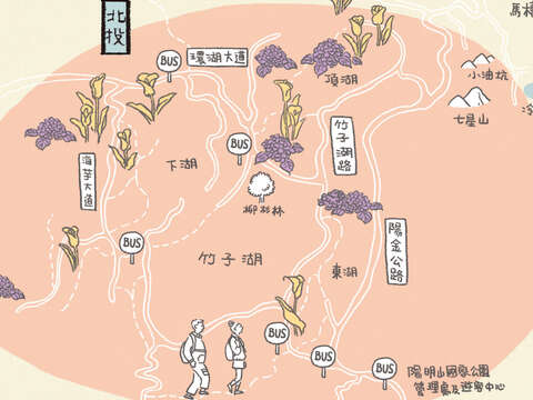 海芋、繡球花賞花地圖