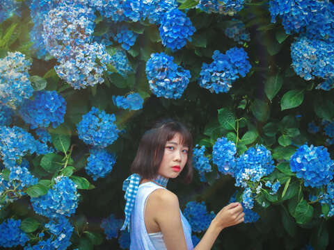 bigwei1216-陳韋至-繡海