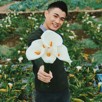 海芋季@jeffreyyam