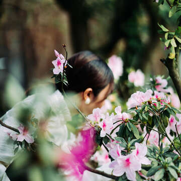 花神羅曼史 (攝影/潘怡帆)