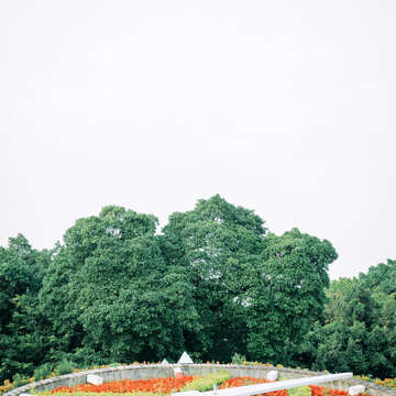 青年公園（攝影／楊雅淳）