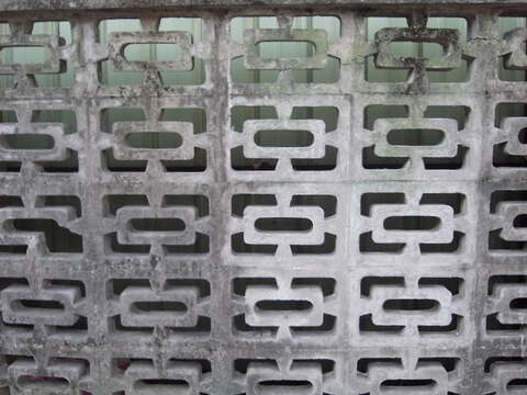 傳統花格窗(圖/九典建築師事務所提供)