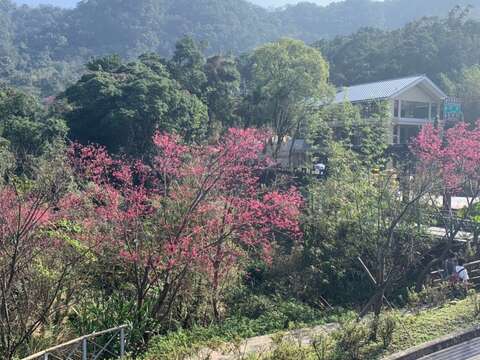 猫空で茶と景色とゆったりを堪能しよう