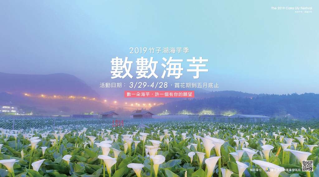 El festival de flores de cala de Zhuzihu