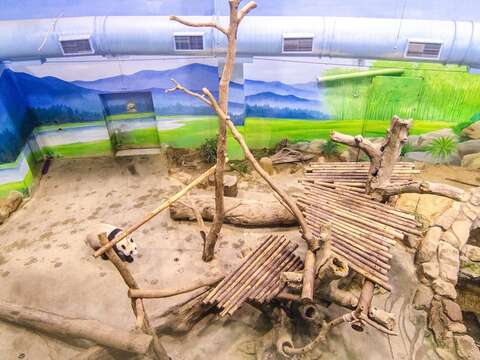 6月間連續10天不開放~動物園積極整裝再出發！