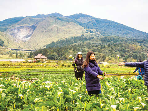 TAIPEI Spring 2019 Vol.15--Flower Viewing in Taipei: Three Routes Recommended for Couples, Friends, and Families