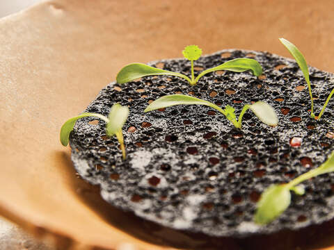 TAIPEI Spring 2019 Vol.15--Exotic Food in Taipei: Spring in the Plates