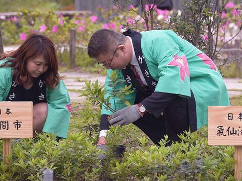 來自日本的杜鵑花城市參與臺北杜鵑花季，共同種植杜鵑花