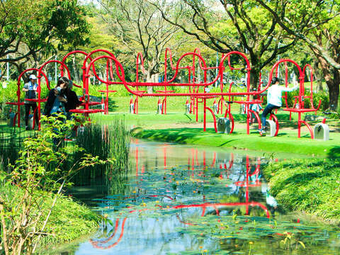 臺灣萍蓬草只生長在乾淨、無汙染的水中，大安森林公園裡的大灣草圳也可見到它的蹤跡