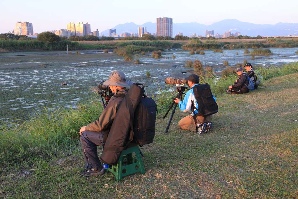 2016臺北華江雁鴨季
