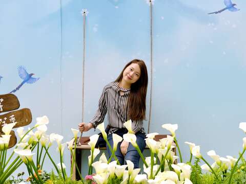 竹子湖數數海芋活動意象