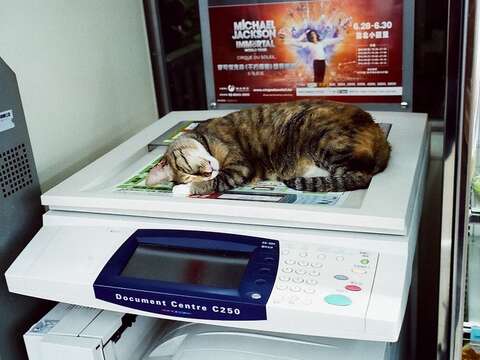 民生社區7-ELEVEN