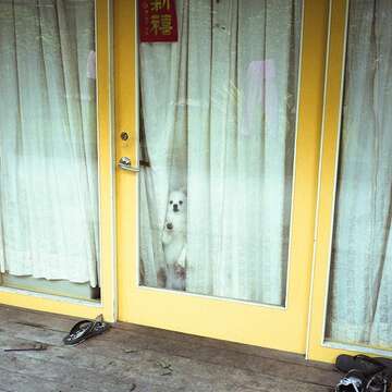 安東街住宅