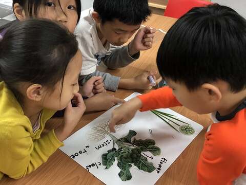 博嘉實小的課程設計,讓學生在認識植物結構的同時,也能學習相關英文單字。(圖/博嘉實小)