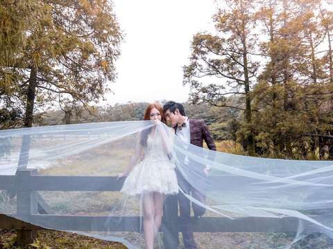 陽明山の人気結婚写真スポットを大公開